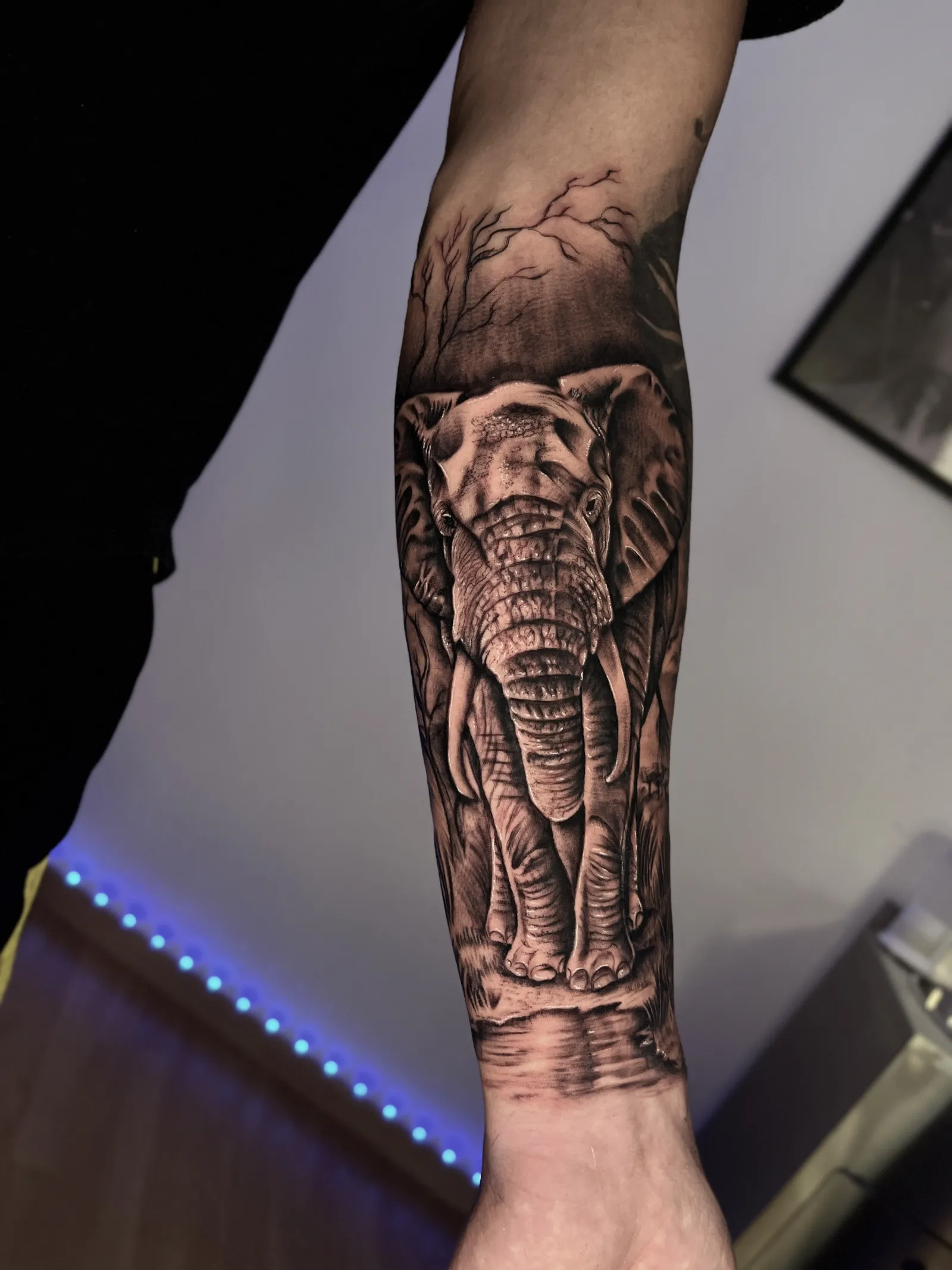 Tatuaje de autor Albacete - estudio boutique